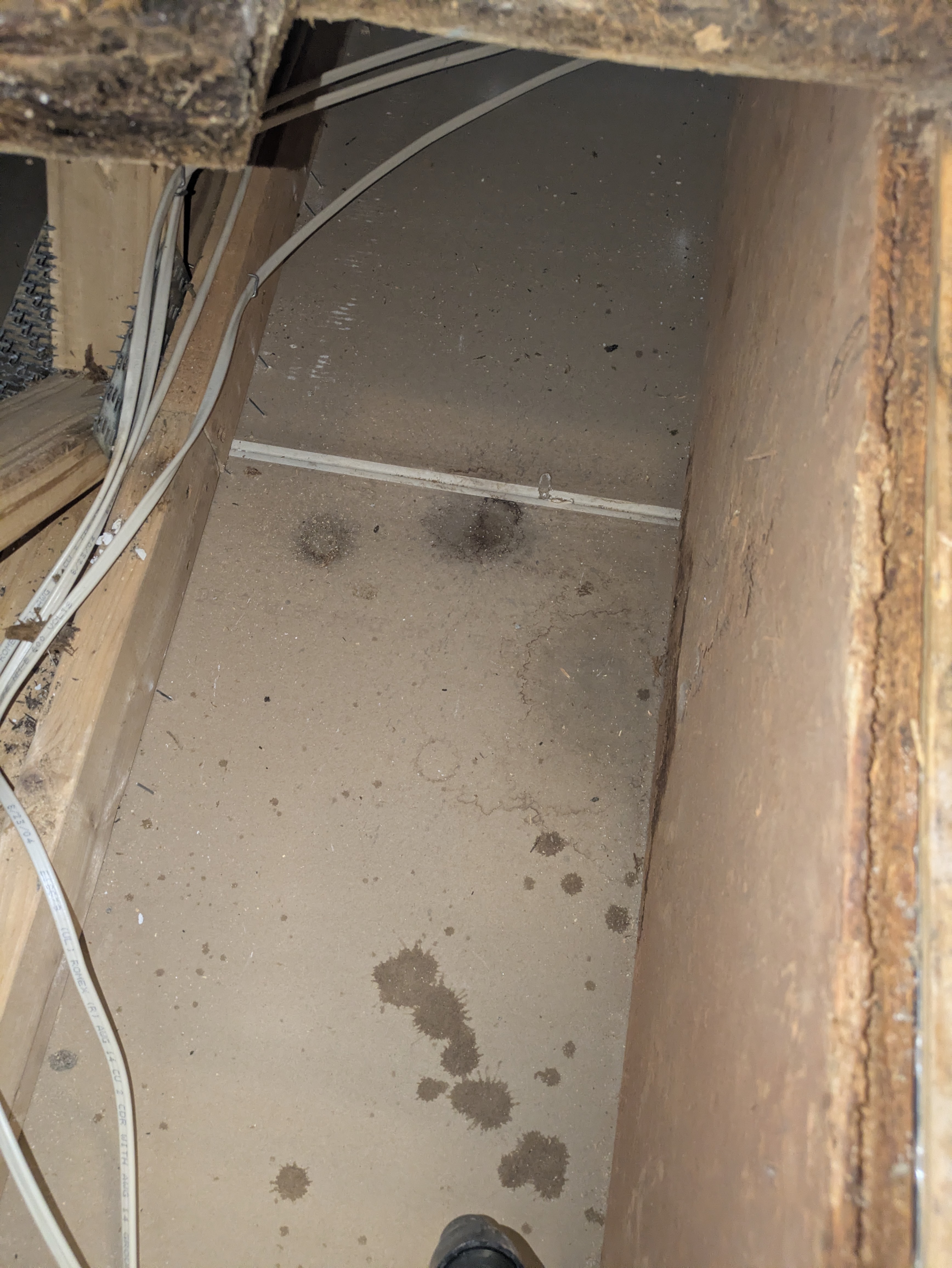 Inspecting ceiling joists for water damage in an Athens remodel